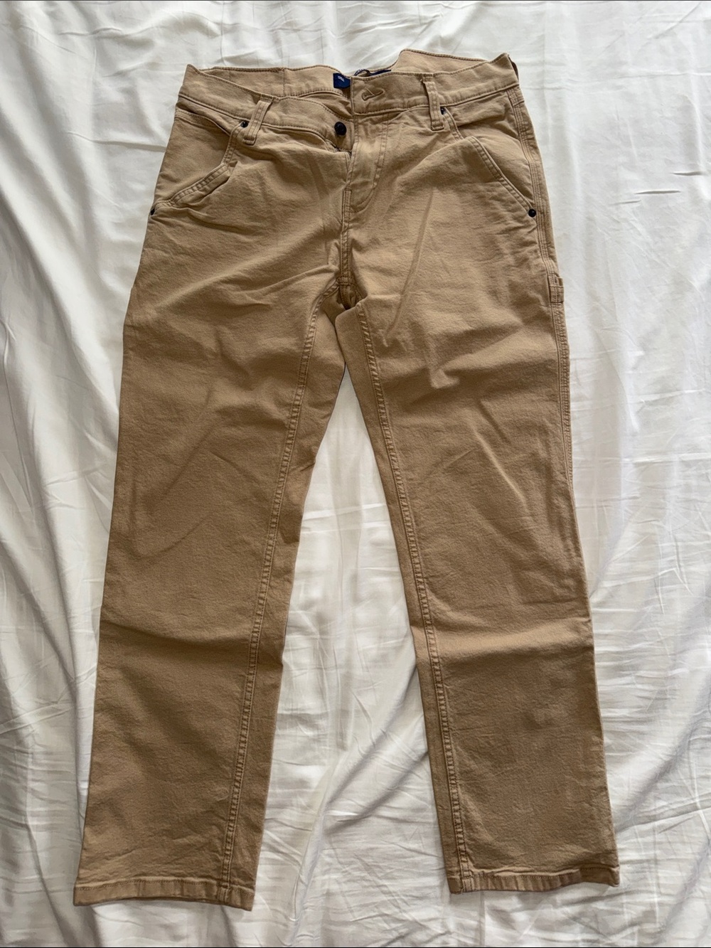 Hollister Carpenter Pants